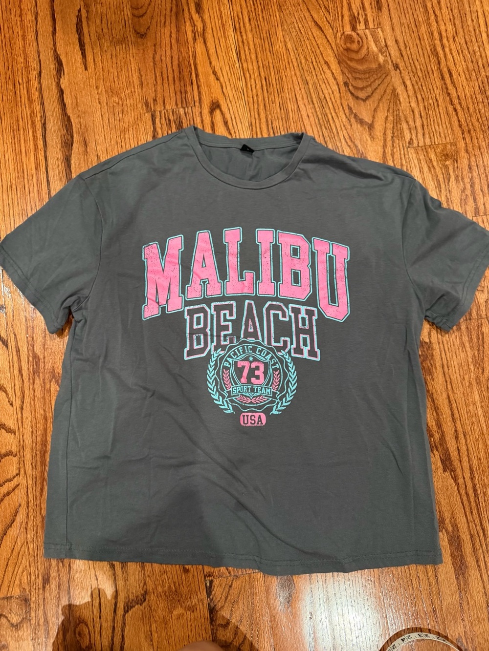 SHEIN Charcoal Tee with Pink Malibu Beach Graphic